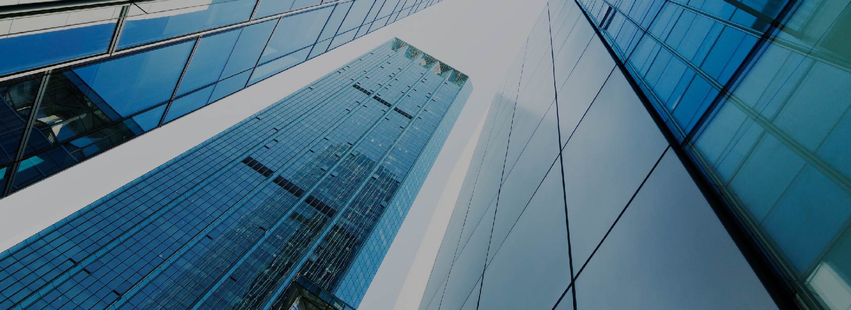 你想開自己的外匯經紀商？外匯經紀商的成本有哪些？ | New Direction Solution